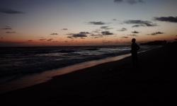 Featured image of post 直到因果成熟自动脱落