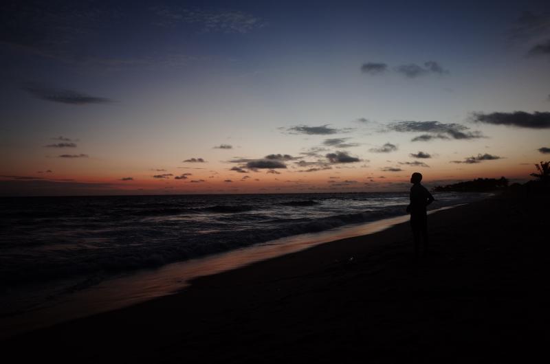 Featured image of post 直到因果成熟自动脱落